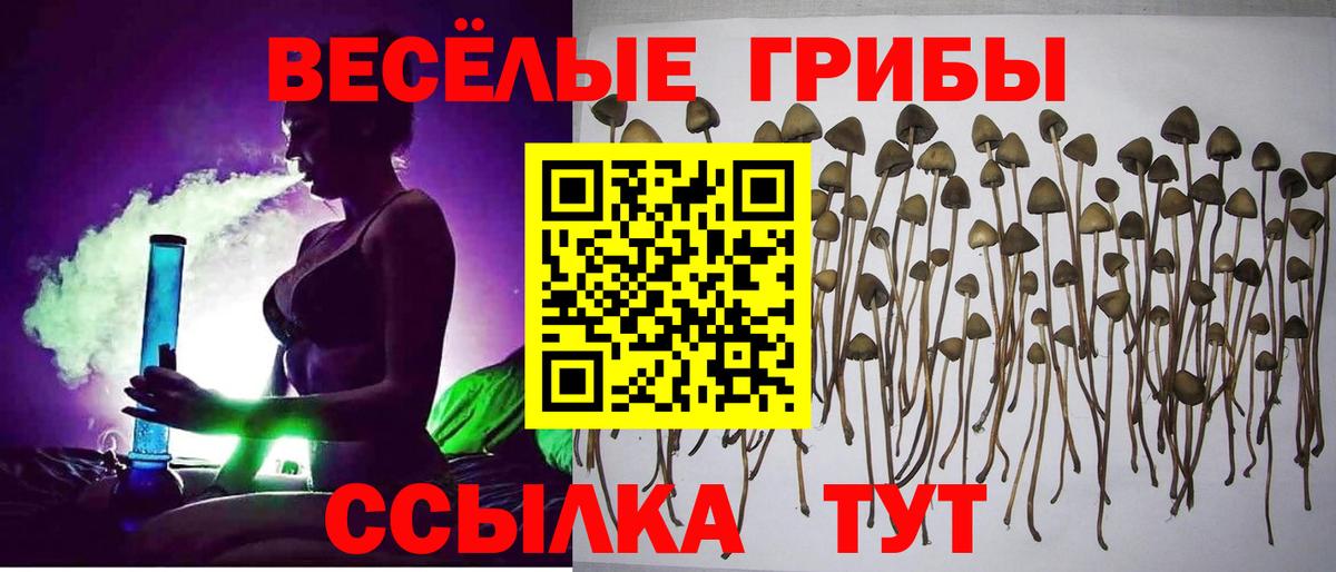 Галлюциногенные грибы Magic Shrooms  Вход с VPN  Галлюциногенные грибы ЛСД  Ахтубинск 